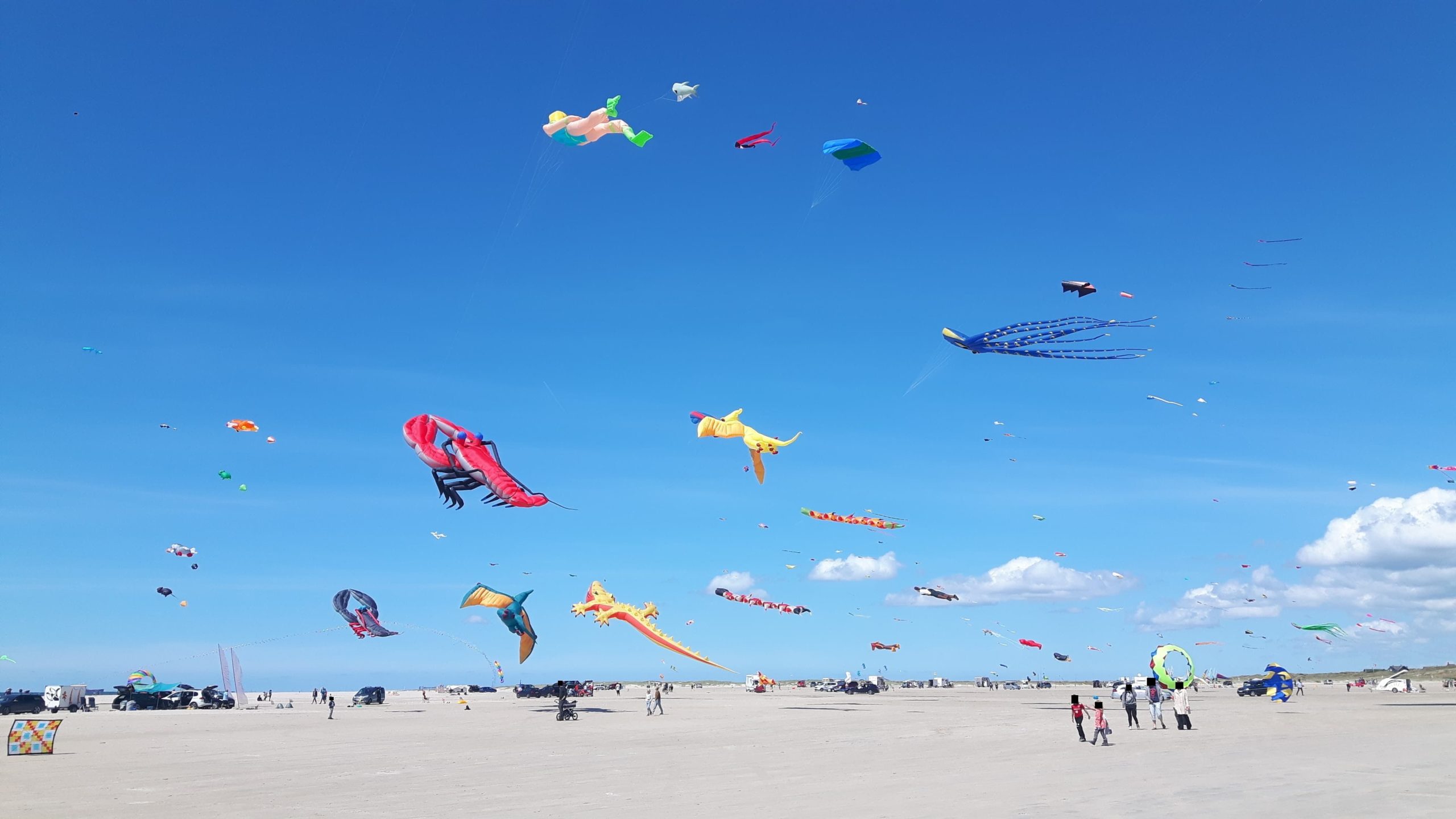 Fanø Drachenfest | Infos, Bilder & Videos | Fanø Reisen