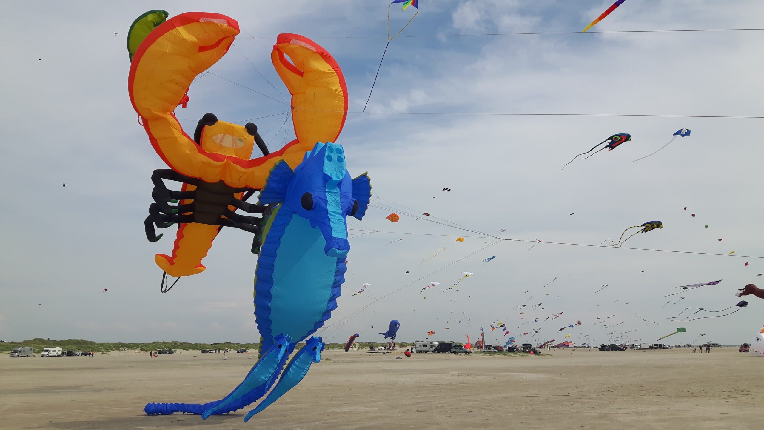 Fanø Drachenfest | Infos, Bilder & Videos | Fanø Reisen