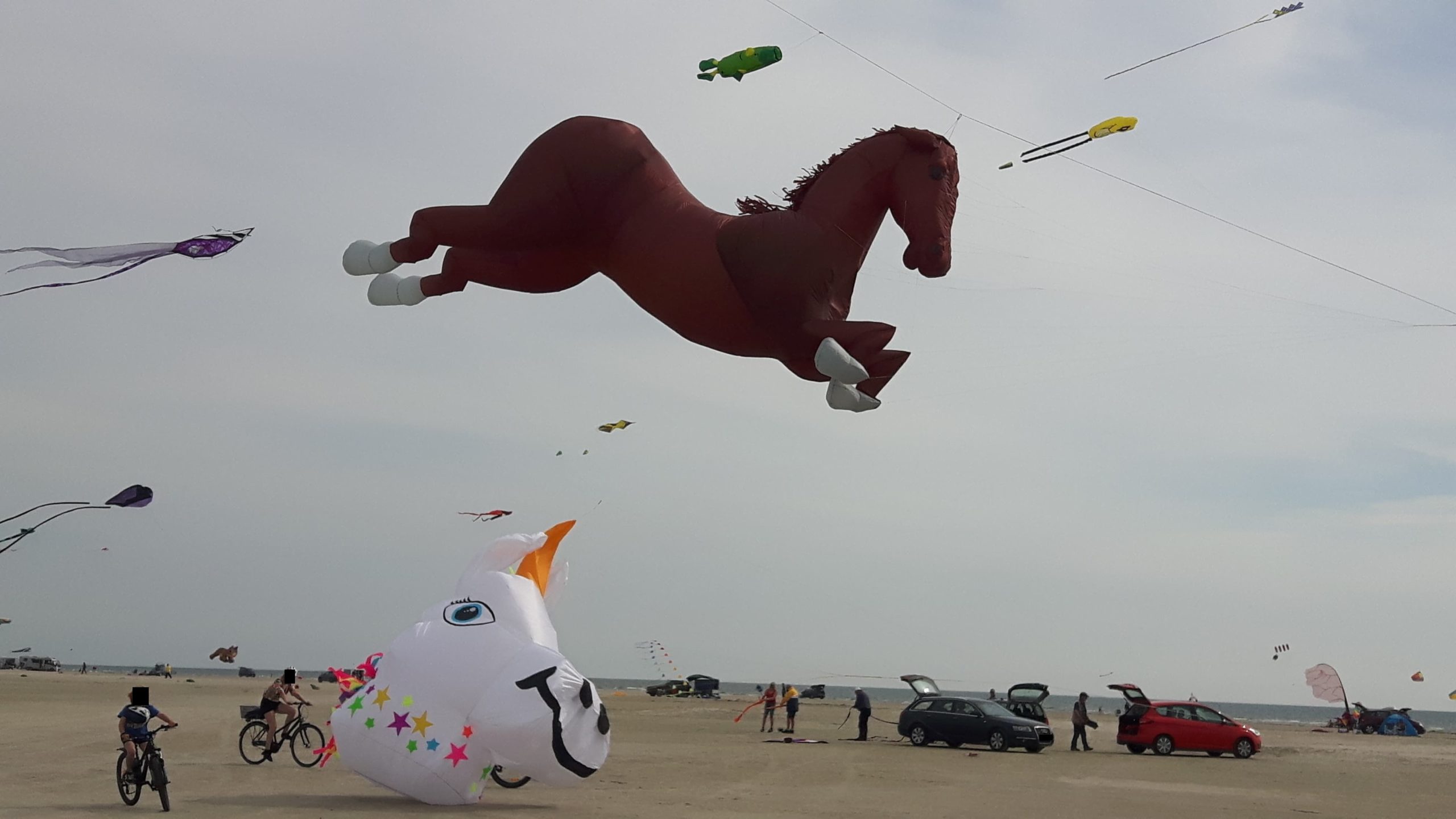 Fanø Drachenfest | Infos, Bilder & Videos | Fanø Reisen