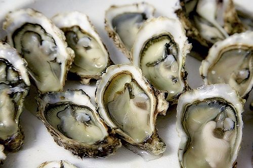 Denmarks Oyster Festival