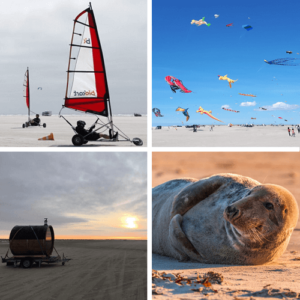 Fanø Bilder