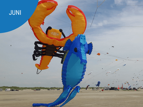 Fanø Drachenfest